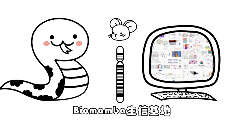 生物信息学分析教学科研平台